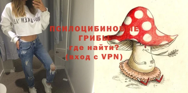индика Надым