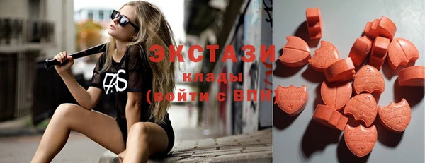 индика Надым