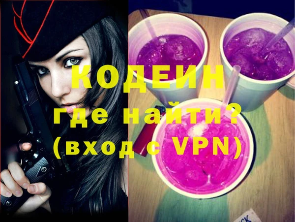 индика Надым