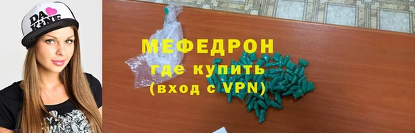 индика Надым