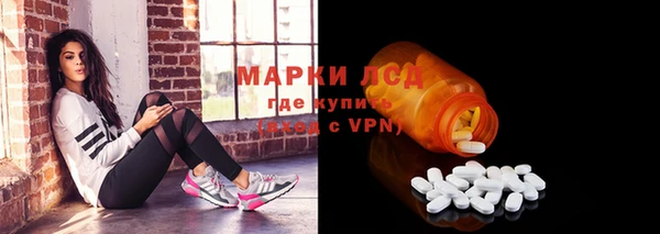 индика Надым