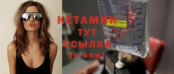 индика Надым