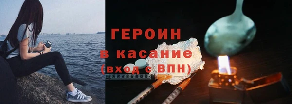 индика Надым