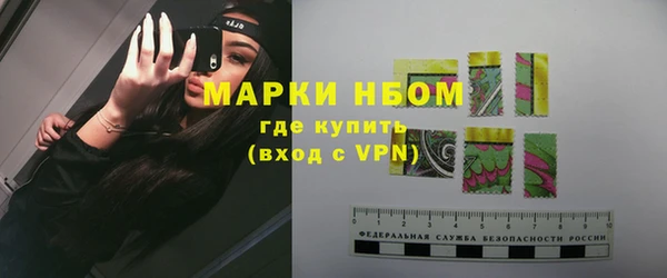 индика Надым