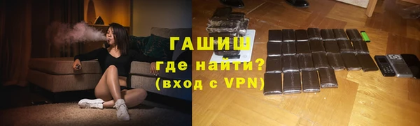 индика Надым