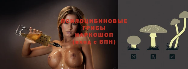 индика Надым