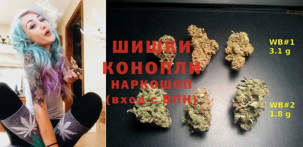 ПСИЛОЦИБИНОВЫЕ ГРИБЫ Наволоки