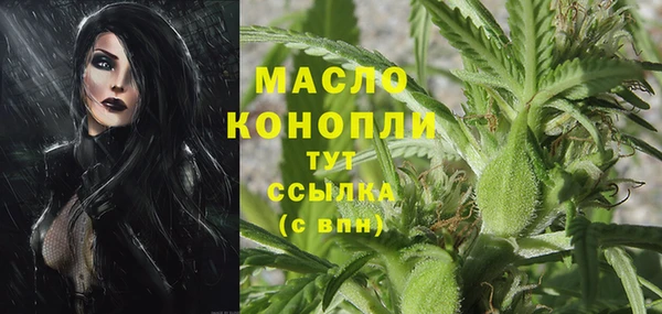 индика Надым