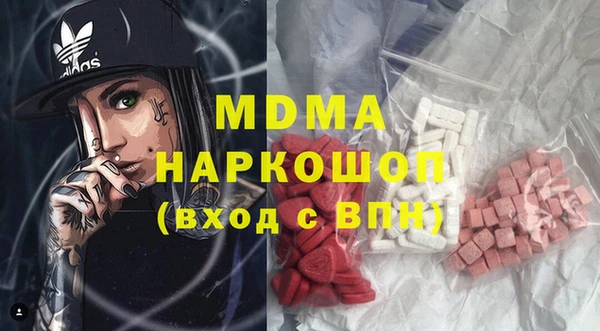 индика Надым
