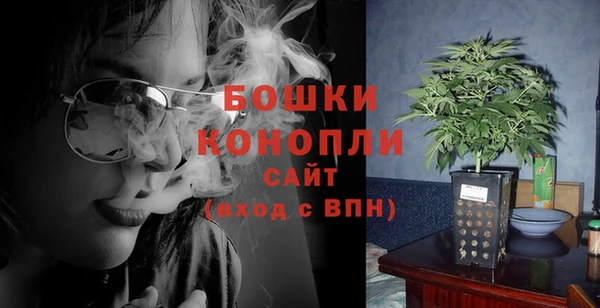 индика Надым