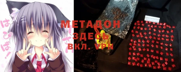 индика Надым