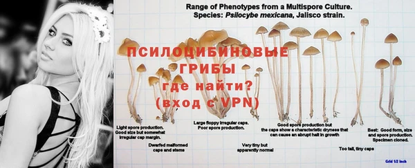 индика Надым