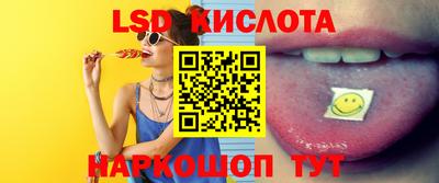 гашик Будённовск