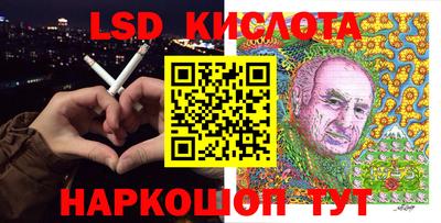 гашик Будённовск