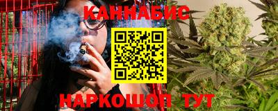 гашик Будённовск