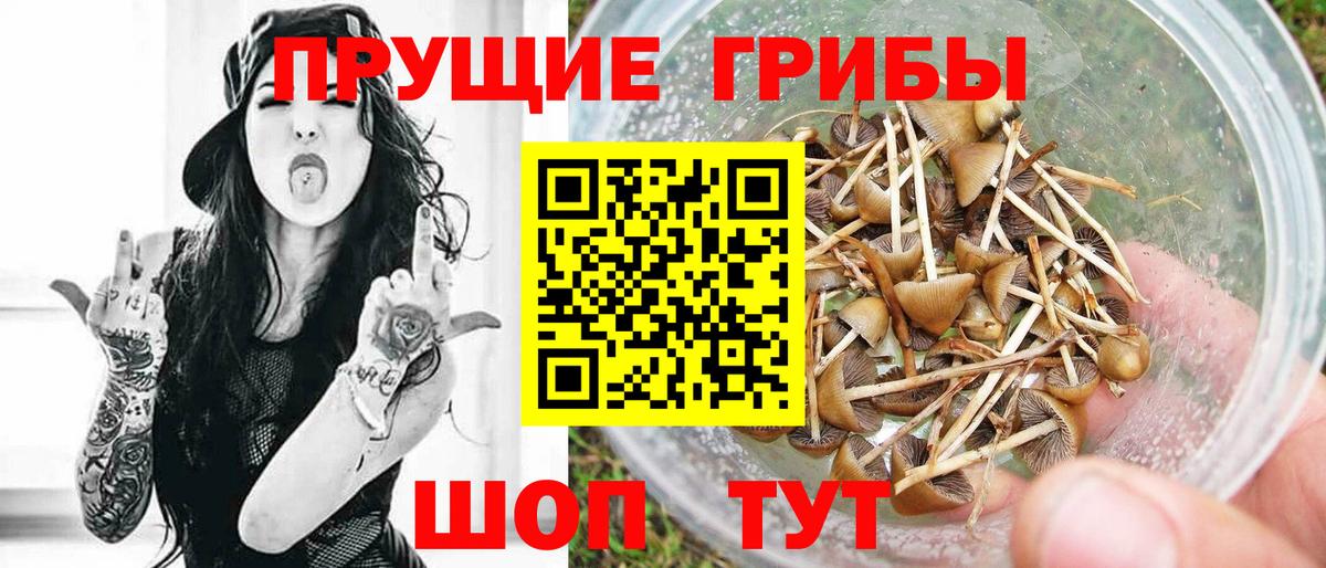 Первоуральск  Галлюциногенные грибы Psilocybine cubensis  Вход с VPN 